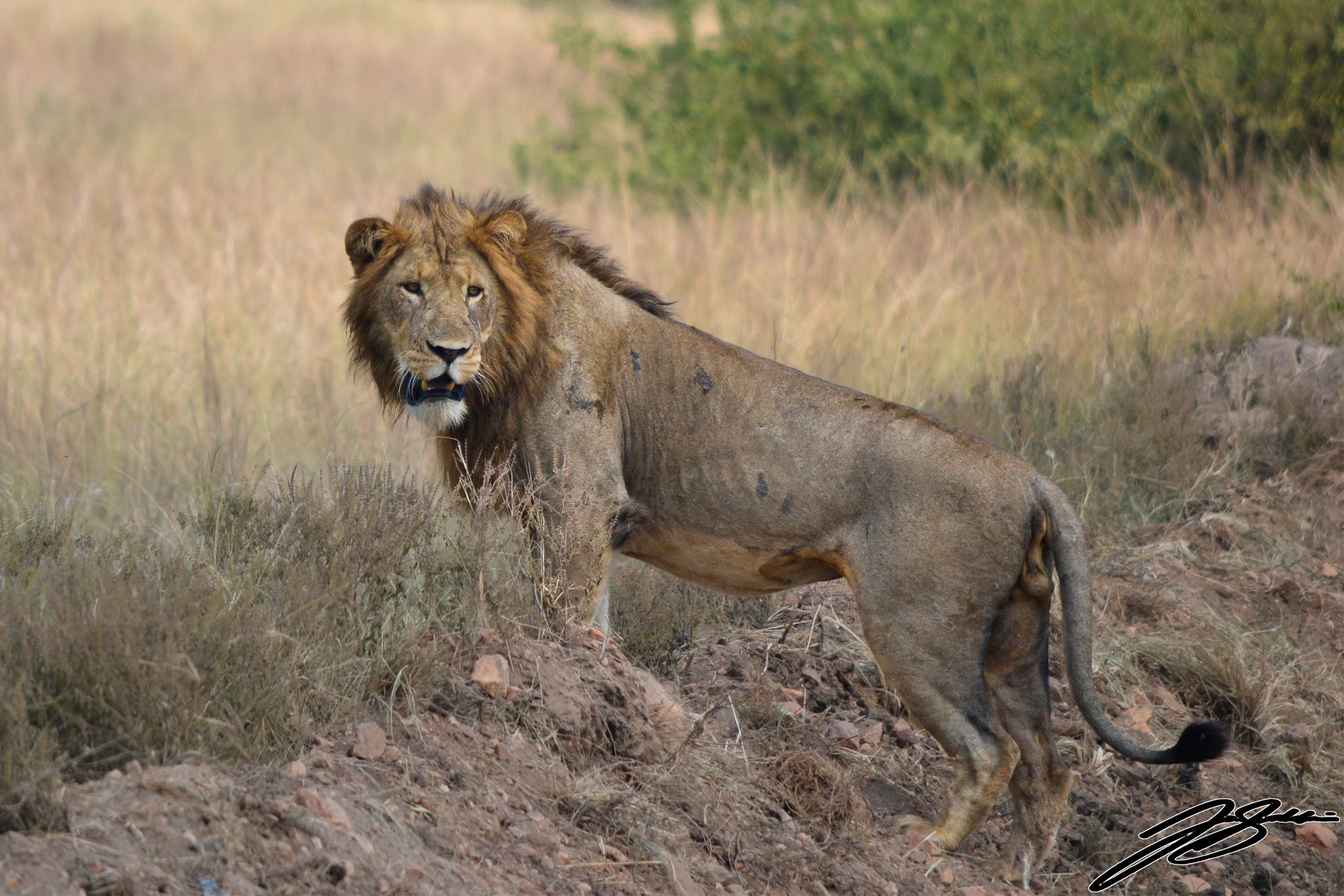 Lake Mburo